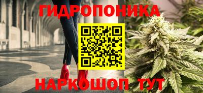 тгк Можга